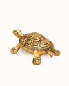 Brass Tortoise