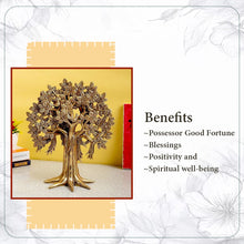 The Tree of Abundance – Kalpvriksha