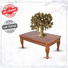 The Tree of Abundance – Kalpvriksha