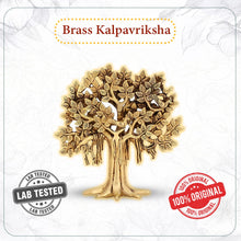 The Tree of Abundance – Kalpvriksha