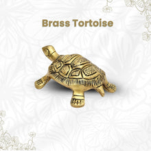 Brass Tortoise