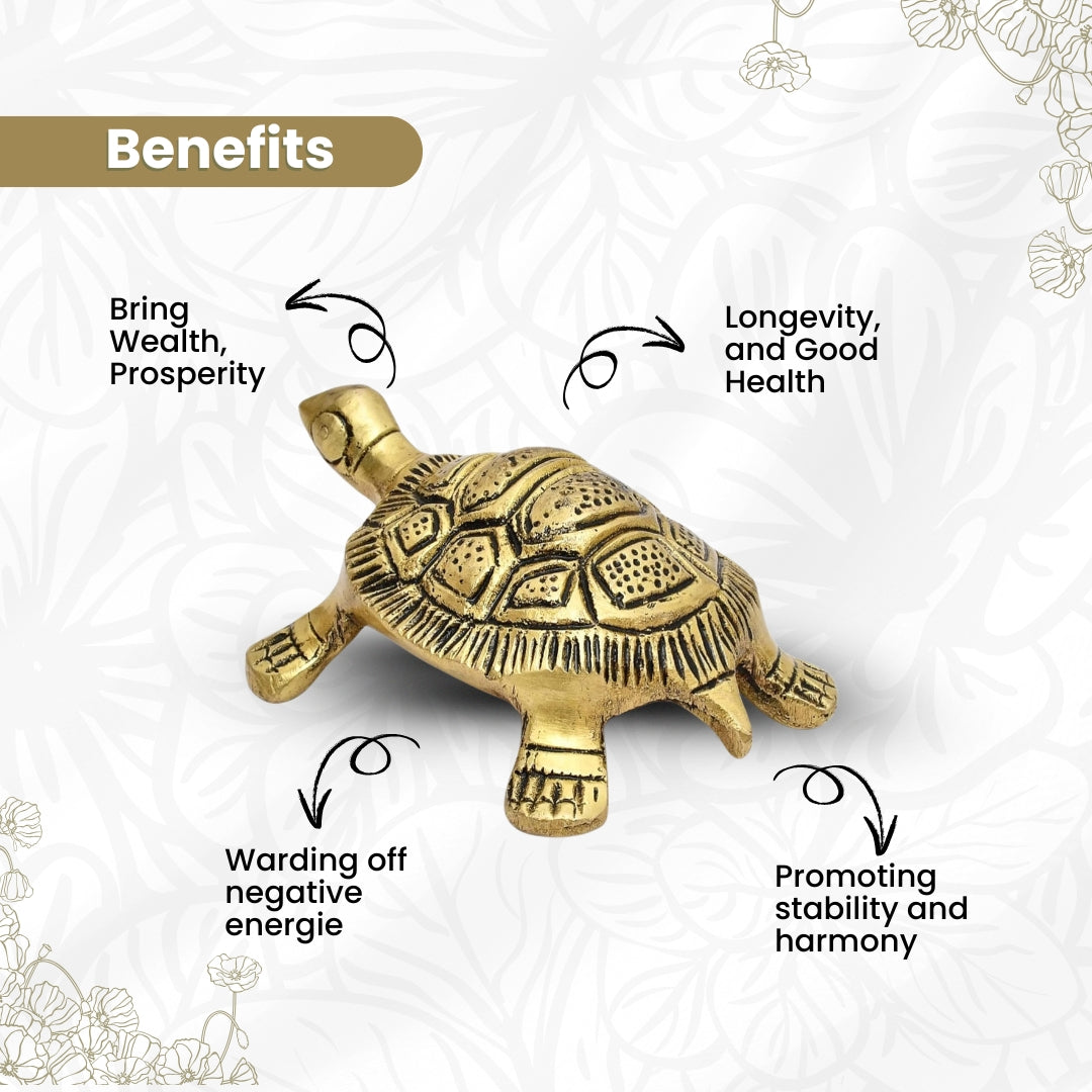 Brass Tortoise