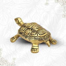 Brass Tortoise