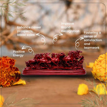 12 Red horses - Name Fame Brand Builder