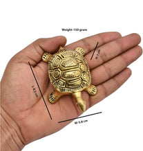 Brass Tortoise