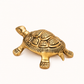 Brass Tortoise